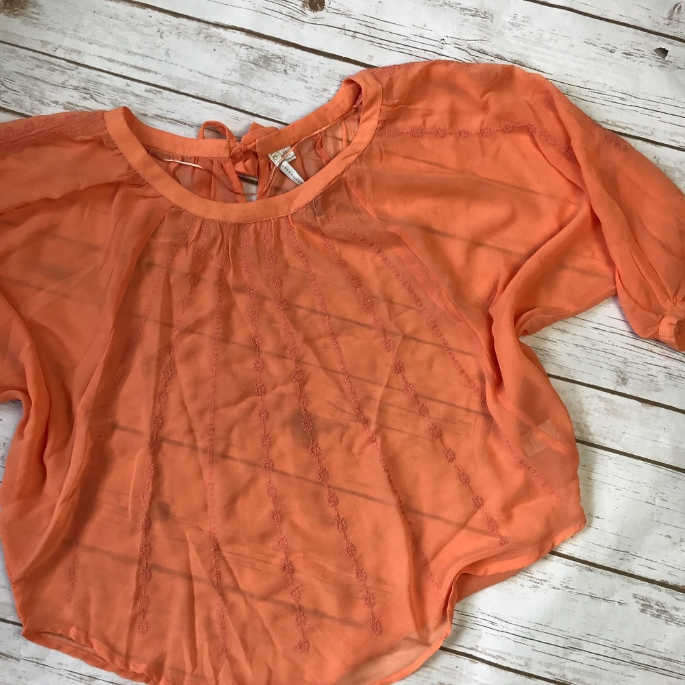 LC Lauren Conrad Sheer Chiffon Embroidered Top XS